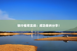 银行催收实战：成功案例分享！