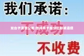 双台子清数公司:想持有干股分红却被追债