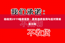 拍拍贷2019催收报告：债务回收趋势与应对策略全分析
