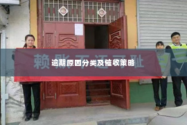 逾期原因分类及催收策略