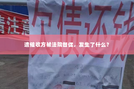 遭催收方被法院督促，发生了什么？