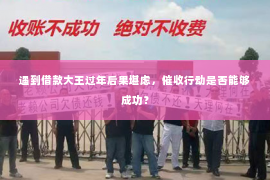 遇到借款大王过年后果堪虑，催收行动是否能够成功？