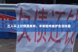 三人以上讨债遭反咬，求助如何维护合法权益
