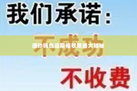 速秒钱包逾期催收策略大揭秘