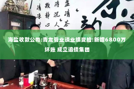 海盐收款公司:青龙管业谈业绩变脸:新增6800万坏账 成立追债集团