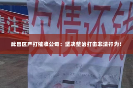 武昌区严打催收公司：坚决整治打击非法行为！