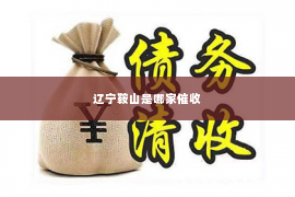 辽宁鞍山是哪家催收
