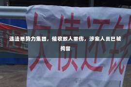 违法恶势力集团，催收致人重伤，涉案人员已被拘留