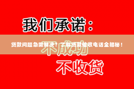 贷款问题急需解决？了解贷款催收电话全揭秘！