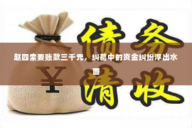 赵四索要账款三千元，纠葛中的资金纠纷浮出水面