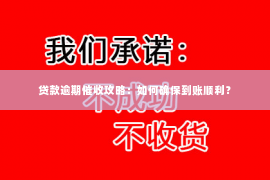 贷款逾期催收攻略：如何确保到账顺利？