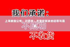 上海要账公司：讨债路：天宝伏妖录的征收与追缴