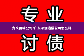 龙文要钱公司:广东深圳追债公司怎么样