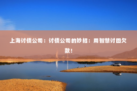 上海讨债公司：讨债公司的妙招：用智慧讨回欠款！