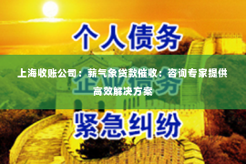 上海收账公司：薪气象贷款催收：咨询专家提供高效解决方案