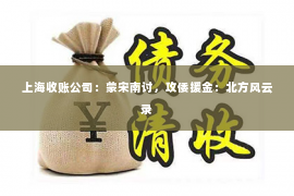 上海收账公司：蒙宋南讨，攻倭援金：北方风云录