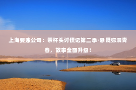 上海要账公司：茶杯头讨债记第二季-悬疑弥漫青春，故事全面升级！