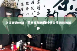 上海要账公司：蓝月亮加盟商讨债事件回顾与解析