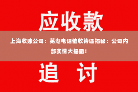 上海收账公司：芜湖电话催收待遇揭秘：公司内部实情大揭露！