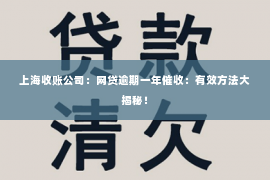 上海收账公司：网贷逾期一年催收：有效方法大揭秘！