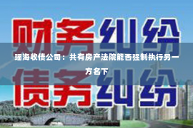 瑶海收债公司：共有房产法院能否强制执行另一方名下