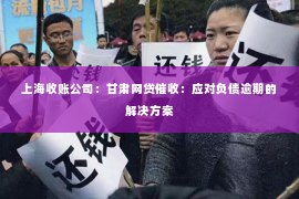 上海收账公司：甘肃网贷催收：应对负债逾期的解决方案