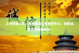 上海收账公司：湖南催收公司查到中心，挖掘出真正隐藏的罪犯！