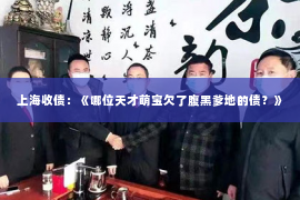 上海收债：《哪位天才萌宝欠了腹黑爹地的债？》