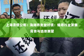 上海清债公司：海阳市龙翌讨债：催收行业发展背景与远景展望