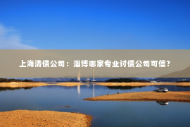 上海清债公司：淄博哪家专业讨债公司可信？