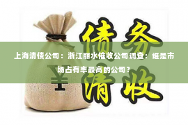 上海清债公司：浙江丽水催收公司调查：谁是市场占有率最高的公司？