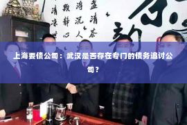 上海要债公司：武汉是否存在专门的债务追讨公司？