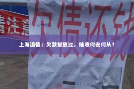 上海追债：欠款被放过，催收何去何从？