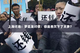 上海讨账：梦见龙讨债：你是否欠下了太多？