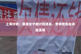 上海讨债：楚雄女子因讨债遭杀，曾将债务起诉至法院