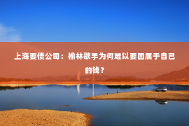 上海要债公司：榆林歌手为何难以要回属于自己的钱？