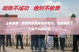 上海清债：查询我的车辆催收情况，全面掌握个人资产风险状况