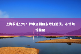 上海收账公司：梦中遇到朋友媳妇追债，心情烦恼惊醒