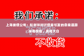 上海要债公司：松树坪村讨债案引发的命案追踪：深夜惊魂，真相大白