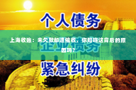 上海收账：未欠款却遭催收，你知晓这背后的原因吗？
