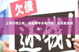 上海讨债公司：最强蜗牛乌龟讨债，究竟能否成功？