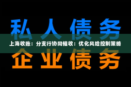 上海收账：分支行协同催收：优化风险控制策略