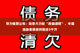 铁力催数公司：加拿大力挺“跨国追债”，中国跑路老赖被判偿还5千万