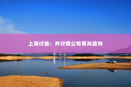 上海讨账：开讨债公司有风险吗