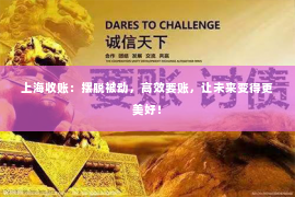 上海收账：摆脱被动，高效要账，让未来变得更美好！