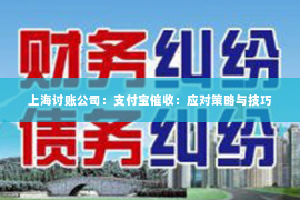 上海讨账公司：支付宝催收：应对策略与技巧