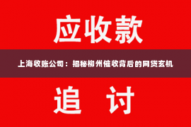 上海收账公司：揭秘柳州催收背后的网贷玄机