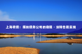上海收债：摆脱债务公司的窘境 - 没钱也能实现