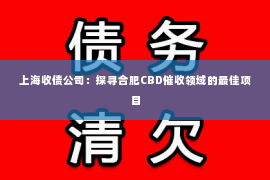 上海收债公司：探寻合肥CBD催收领域的最佳项目