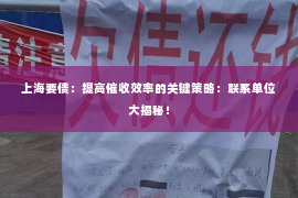 上海要债：提高催收效率的关键策略：联系单位大揭秘！